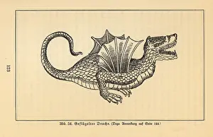 Crocodyliform: Winged dragon