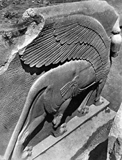 Nimrud: Winged and harnessed lioness