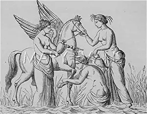 Watered: The winged horse Pegasus