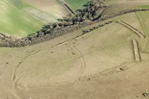 Hillfort: Winkelbury Hill, Wiltshire