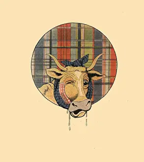 Rabier: Winking Cow