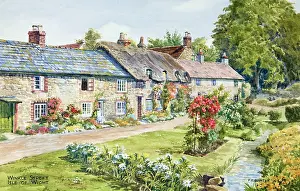 Winkle: Winkle Street, Calbourne, Isle of Wight