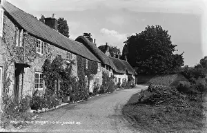 Wight: Winkle Street Cottages