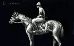 Ambiguous: The Winner - Optical Illusion