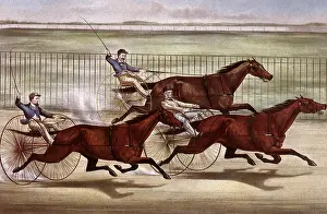 Spur: Winnign a Carriage Race