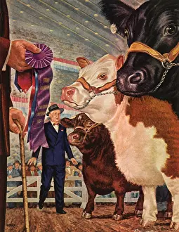 Stout: Winning Bulls