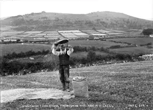 Corn: Winnowing Corn Amongst the Mourne Mountains Above Kilkeel