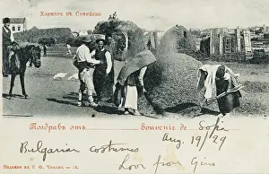 Winnowing: Winnowing grain in Bulgaria