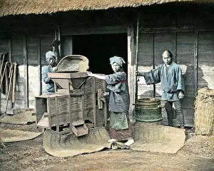Winnow: Winnowing rice, Japan