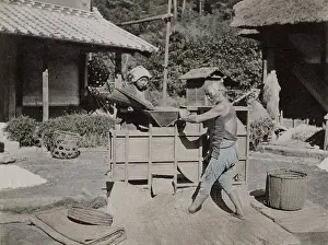 Sifting: Winnowing of sifting tea to remove dust and debris, Japan