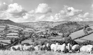 Winsford: Winsford, c1960