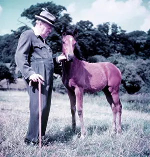 Winston Churchill pictured with a young foal