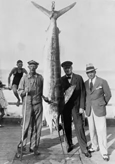 Swordfish: Winston Churchill with a sword fish, 1929