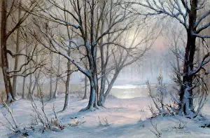 Denton: Winter Afternoon, Epping Forest