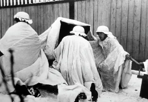 Capes: Winter battles, 1941