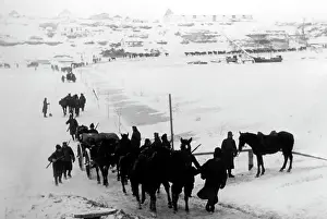 Hahn: Winter battles, 1942