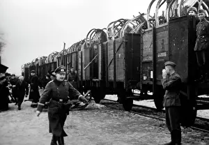 Sledges: Winter battles, 1942