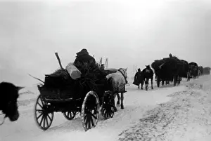 Rooster: Winter battles, 1942