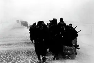 Mitte: Winter battles, 1942