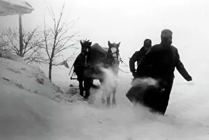 Knodler: Winter battles, 1942