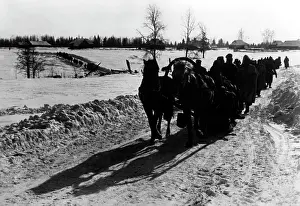 Lessmann: Winter battles, 1942