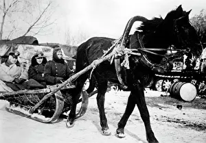 Panje: Winter battles, 1942