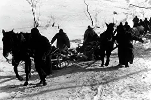 Lessmann: Winter battles, 1942