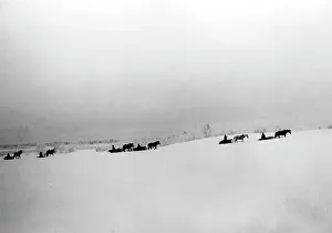 Beissel: Winter battles, 1942