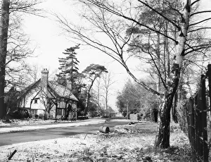 Bilton: WINTER AT BILTON