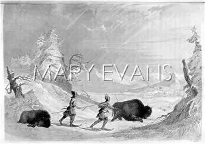 Snowshoes: WINTER BUFFALO HUNT