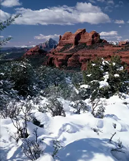 Camerique: Winter In The Canyon