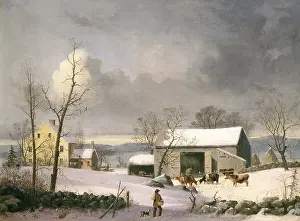 Hedgerows: Winter in the Country