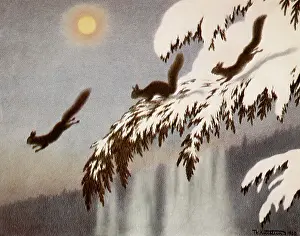 Leap: Winter Evening