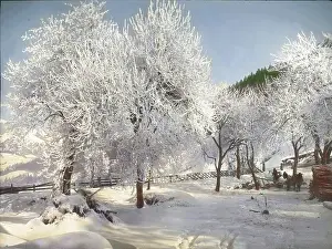 Overlooks: Winter in Fischbach