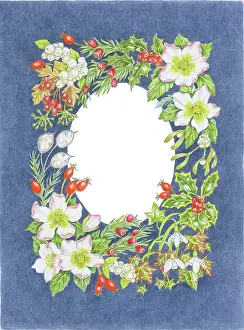 Honesty: Winter Floral border on a dark blue background