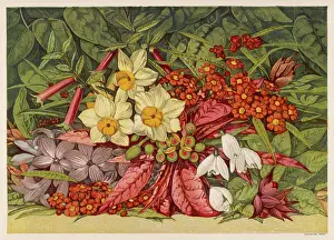 Hothouse: WINTER FLOWERS 1866