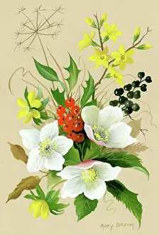 Jasmine: Winter Flowers
