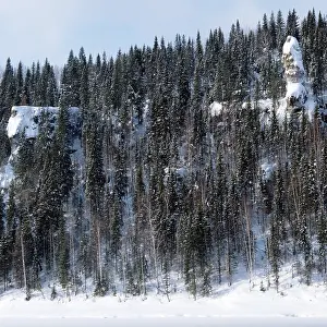 Perm: Winter forest in Ural, 1983
