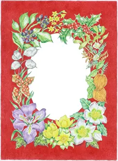 Honesty: Winter fruits and flowers border design