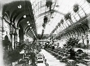 Schwartz: Winter garden in the Centralhotel