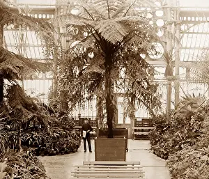 Southport: Winter Gardens Conservatory, Southport, Victorian period