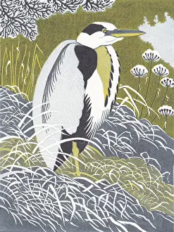 Herons: Winter Heron