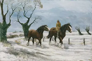 Godderidge: Winter Horses