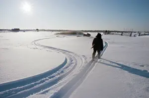 Skis: Winter hunting