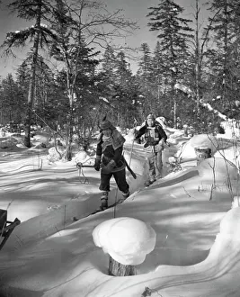 Skis: Winter hunting
