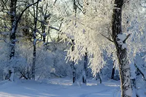 Magadan: Winter landscape, 1982