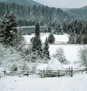 Taiga: Winter landscape, 1989