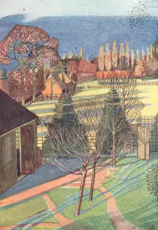 Fenced: Winter Landscape
