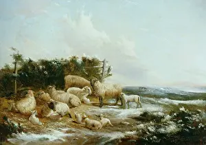 Duval: Winter Landscape ' with sheep and lambs