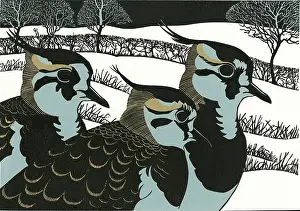 Hedges: Winter Lapwings